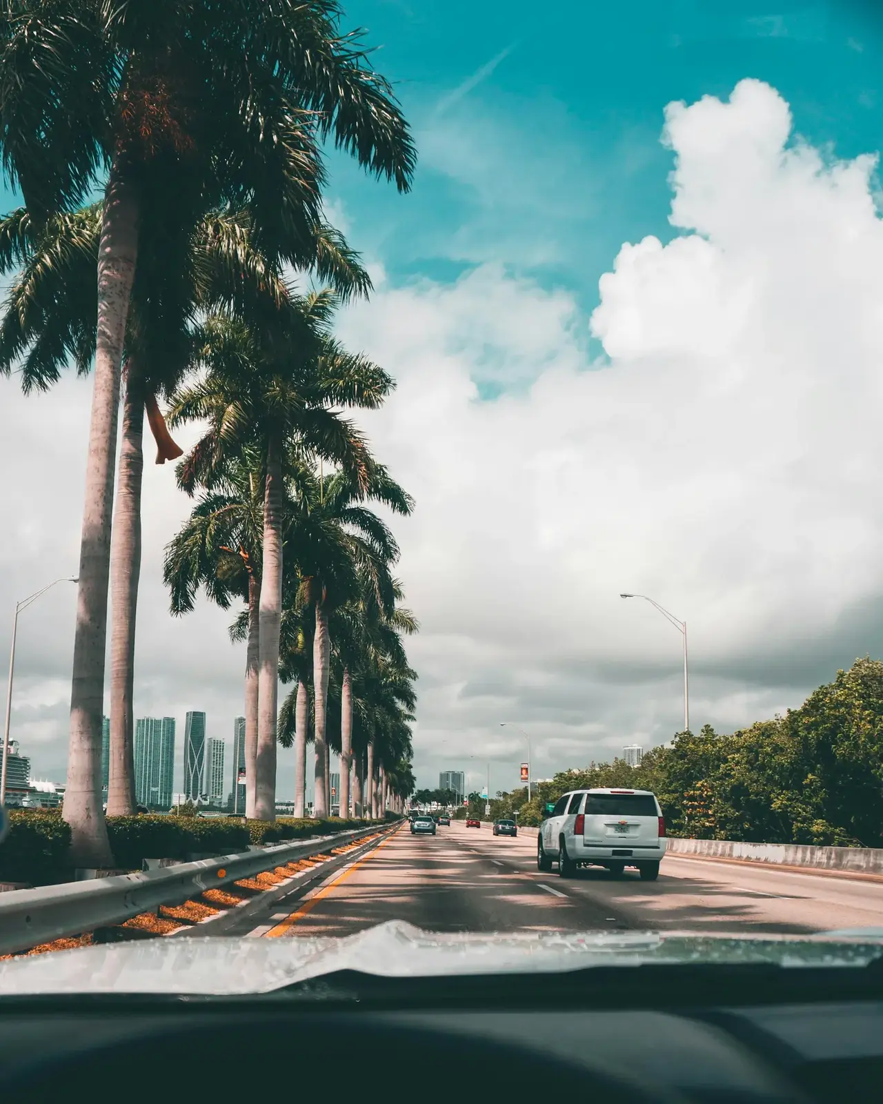 Palm-lined causeway road leading toward the Miami skyline
